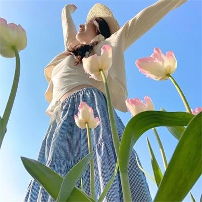 中央公园第三季